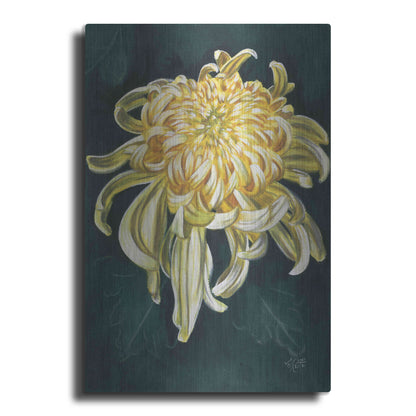 Luxe Metal Art 'Cheerfulness' by Barbara Keith, Metal Wall Art