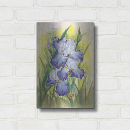 Luxe Metal Art 'Awake' by Barbara Keith, Metal Wall Art,12x16