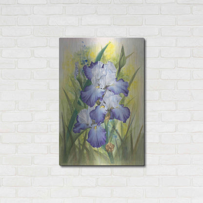 Luxe Metal Art 'Awake' by Barbara Keith, Metal Wall Art,24x36