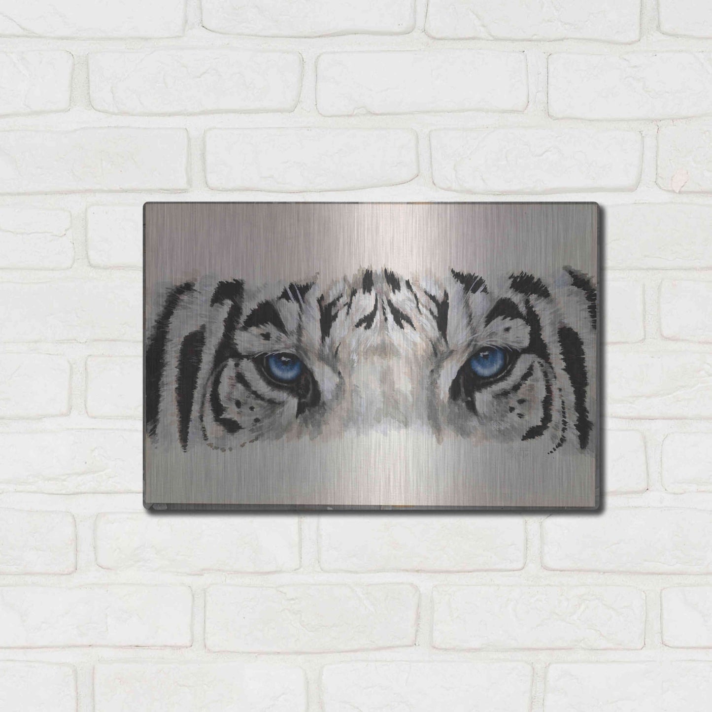 Luxe Metal Art 'Eye-Catching White Tiger' by Barbara Keith, Metal Wall Art,16x12