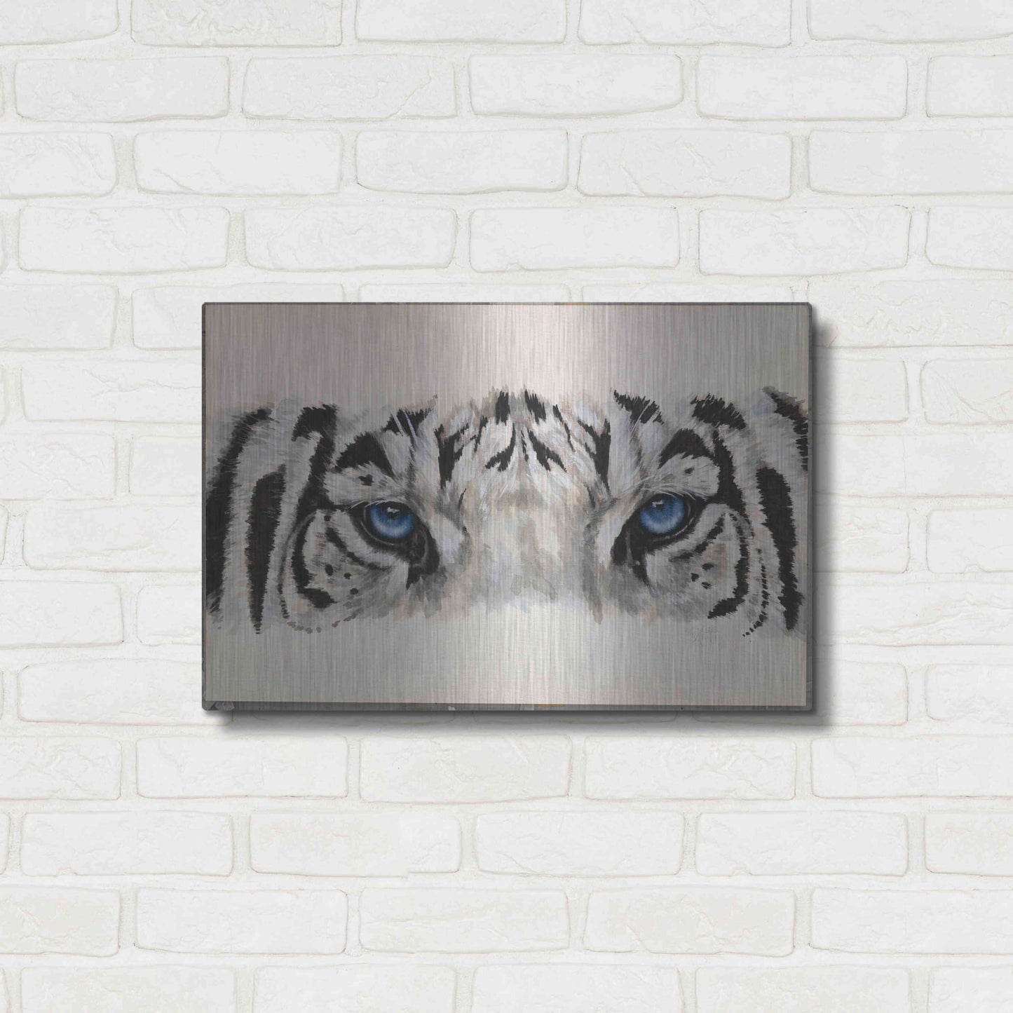 Luxe Metal Art 'Eye-Catching White Tiger' by Barbara Keith, Metal Wall Art,24x16