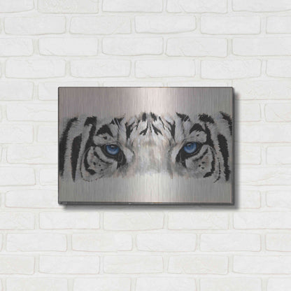 Luxe Metal Art 'Eye-Catching White Tiger' by Barbara Keith, Metal Wall Art,24x16