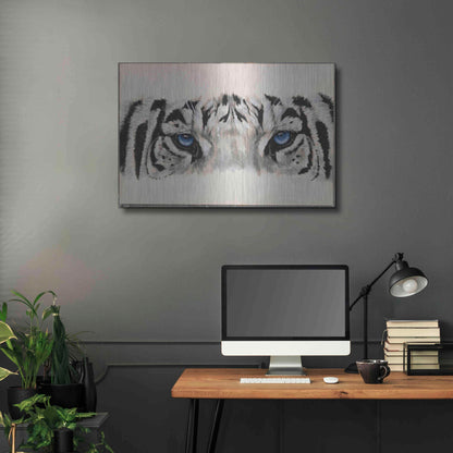 Luxe Metal Art 'Eye-Catching White Tiger' by Barbara Keith, Metal Wall Art,36x24