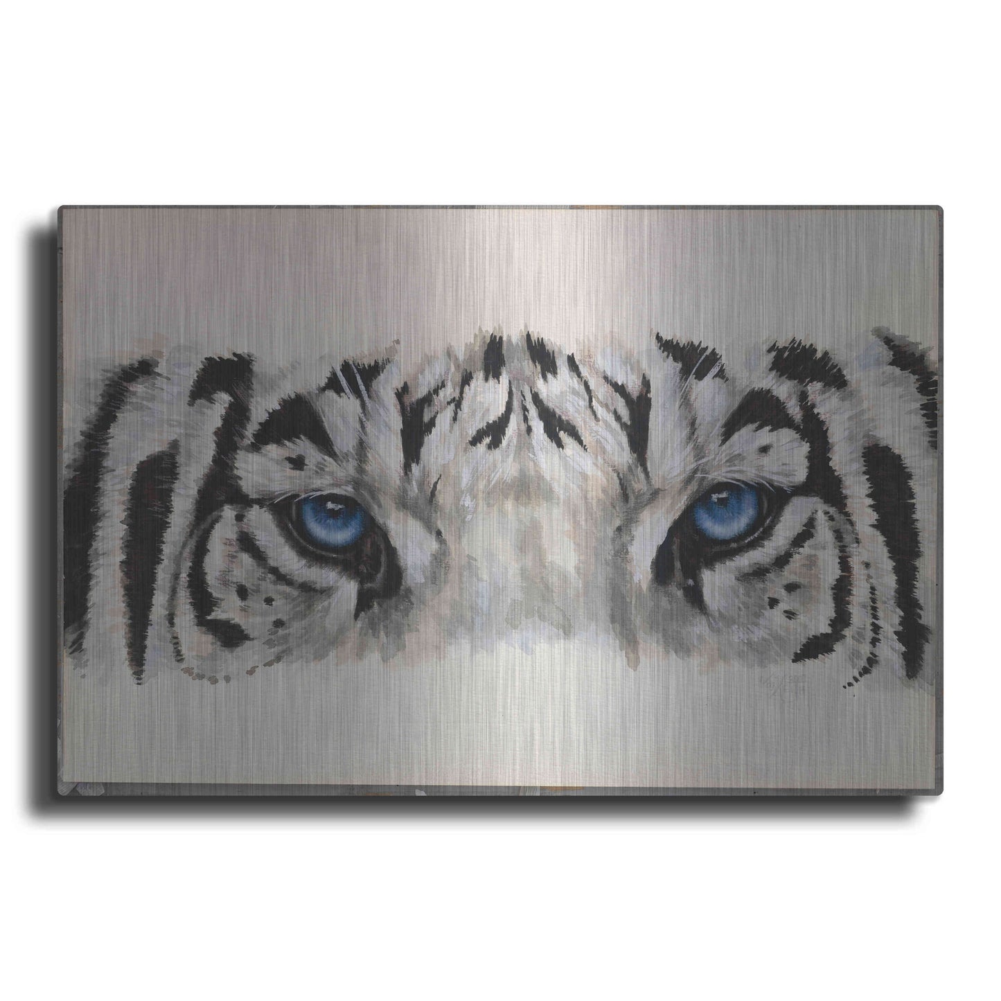 Luxe Metal Art 'Eye-Catching White Tiger' by Barbara Keith, Metal Wall Art