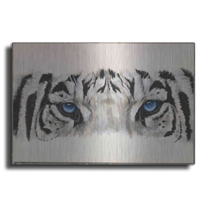 Luxe Metal Art 'Eye-Catching White Tiger' by Barbara Keith, Metal Wall Art