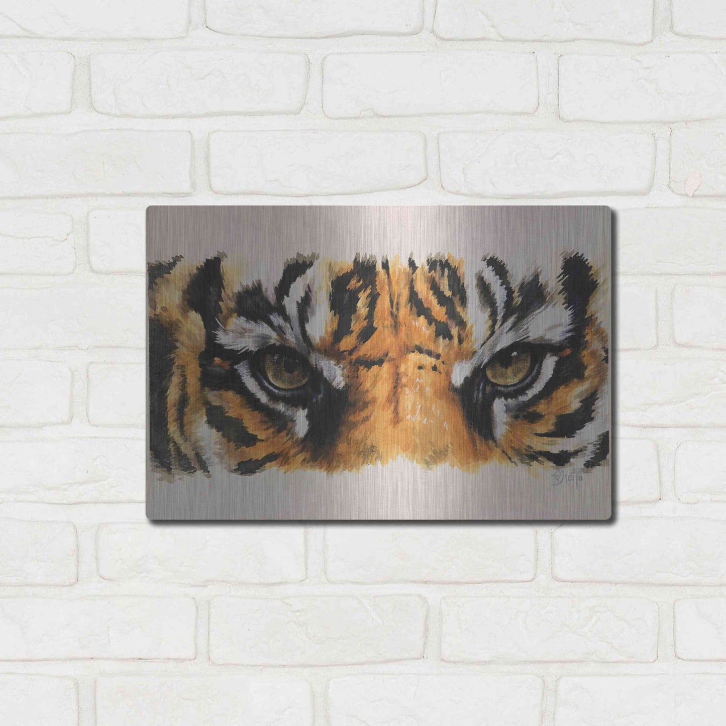 Luxe Metal Art 'Eye-Catching Tiger' by Barbara Keith, Metal Wall Art,16x12