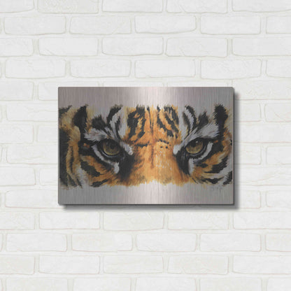 Luxe Metal Art 'Eye-Catching Tiger' by Barbara Keith, Metal Wall Art,24x16