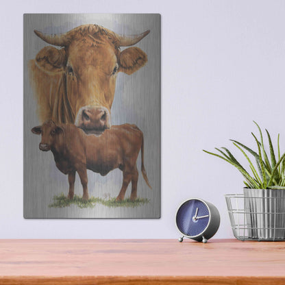 Luxe Metal Art 'Guernsey Cow' by Barbara Keith, Metal Wall Art,12x16