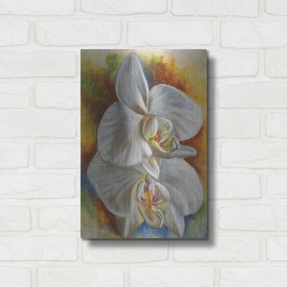 Luxe Metal Art 'Evening Orchid' by Barbara Keith, Metal Wall Art,12x16