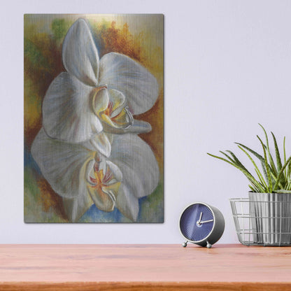 Luxe Metal Art 'Evening Orchid' by Barbara Keith, Metal Wall Art,12x16