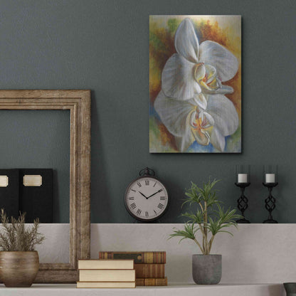 Luxe Metal Art 'Evening Orchid' by Barbara Keith, Metal Wall Art,12x16