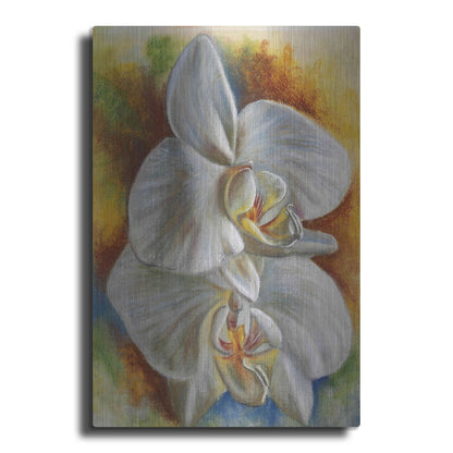 Luxe Metal Art 'Evening Orchid' by Barbara Keith, Metal Wall Art