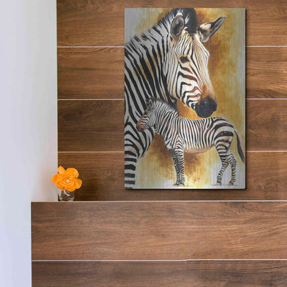 Luxe Metal Art 'Mountain Zebra' by Barbara Keith, Metal Wall Art,12x16
