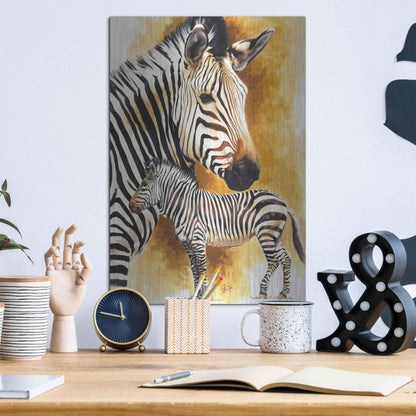 Luxe Metal Art 'Mountain Zebra' by Barbara Keith, Metal Wall Art,12x16