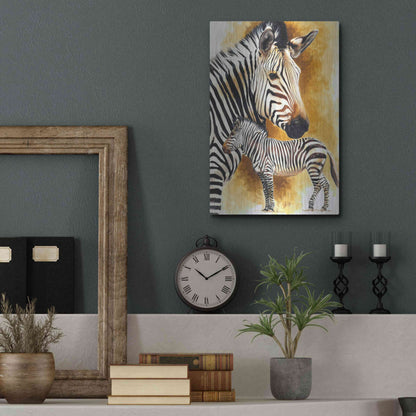 Luxe Metal Art 'Mountain Zebra' by Barbara Keith, Metal Wall Art,12x16