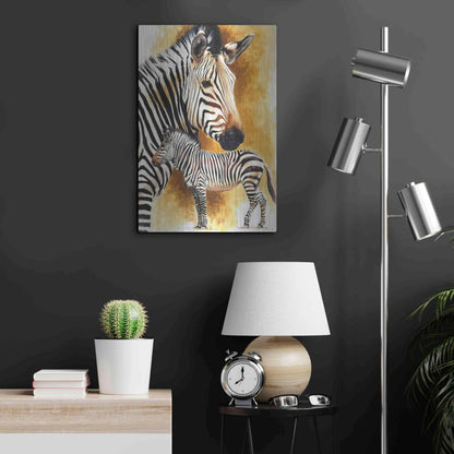 Luxe Metal Art 'Mountain Zebra' by Barbara Keith, Metal Wall Art,16x24