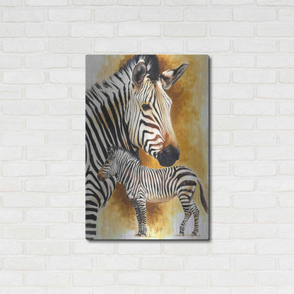 Luxe Metal Art 'Mountain Zebra' by Barbara Keith, Metal Wall Art,24x36
