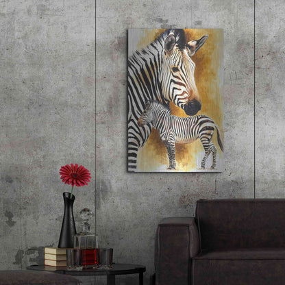 Luxe Metal Art 'Mountain Zebra' by Barbara Keith, Metal Wall Art,24x36