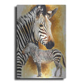 Luxe Metal Art 'Mountain Zebra' by Barbara Keith, Metal Wall Art