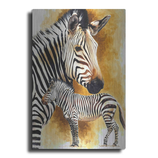 Luxe Metal Art 'Mountain Zebra' by Barbara Keith, Metal Wall Art