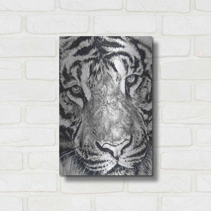 Luxe Metal Art 'Dreamer' by Barbara Keith, Metal Wall Art,12x16