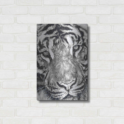 Luxe Metal Art 'Dreamer' by Barbara Keith, Metal Wall Art,16x24