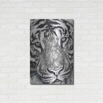 Luxe Metal Art 'Dreamer' by Barbara Keith, Metal Wall Art,24x36