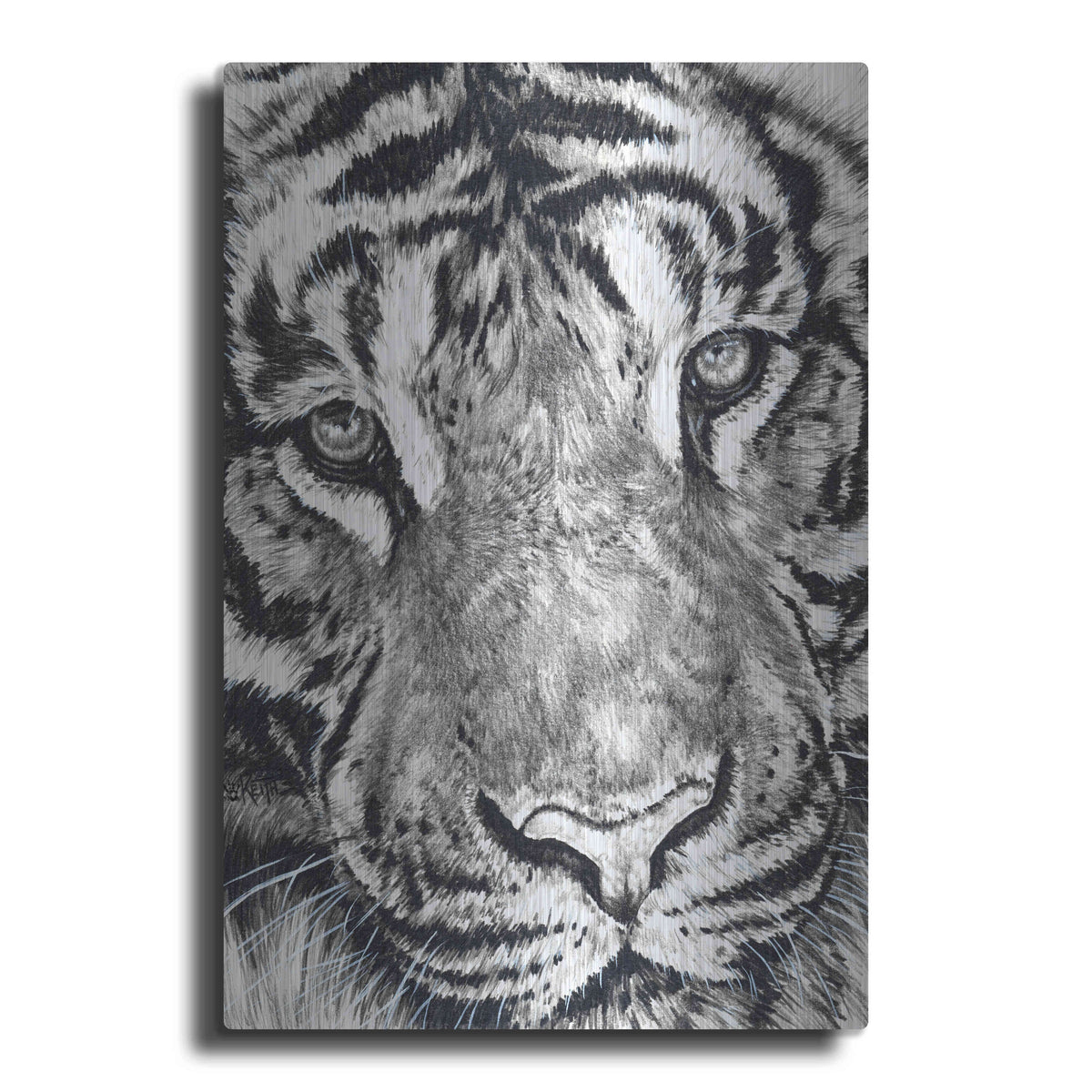 Luxe Metal Art 'Dreamer' by Barbara Keith, Metal Wall Art
