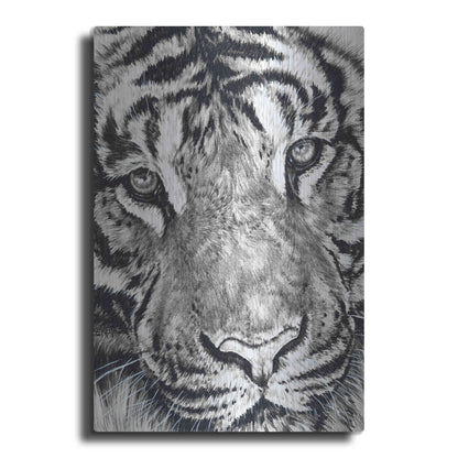 Luxe Metal Art 'Dreamer' by Barbara Keith, Metal Wall Art