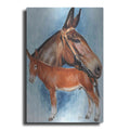 Luxe Metal Art 'Donkey' by Barbara Keith, Metal Wall Art