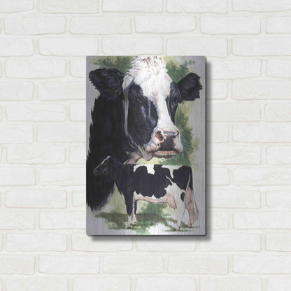 Luxe Metal Art 'Holstein Cow' by Barbara Keith, Metal Wall Art,16x24