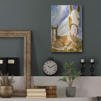 Luxe Metal Art 'Missouri Fox Trotter' by Barbara Keith, Metal Wall Art,12x16