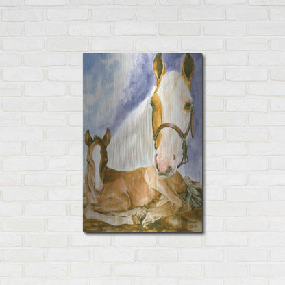 Luxe Metal Art 'Missouri Fox Trotter' by Barbara Keith, Metal Wall Art,24x36