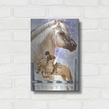 Luxe Metal Art 'Norwegian Fjord' by Barbara Keith, Metal Wall Art,12x16