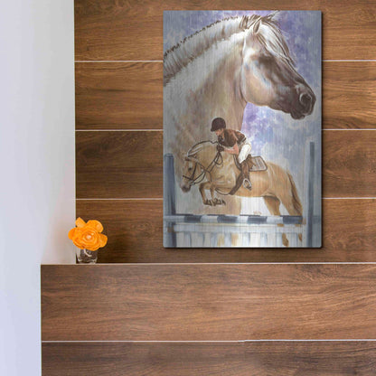 Luxe Metal Art 'Norwegian Fjord' by Barbara Keith, Metal Wall Art,12x16