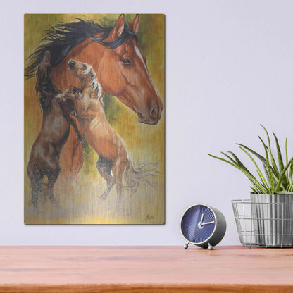 Luxe Metal Art 'Mustang' by Barbara Keith, Metal Wall Art,12x16