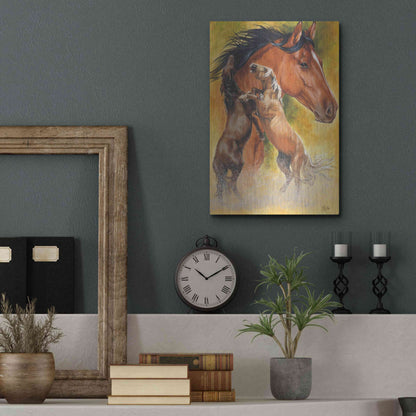 Luxe Metal Art 'Mustang' by Barbara Keith, Metal Wall Art,12x16