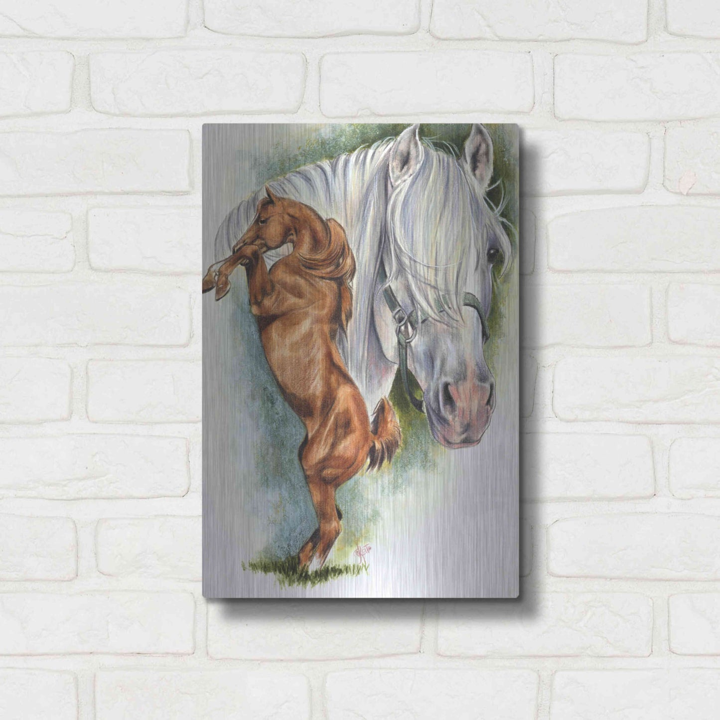 Luxe Metal Art 'Andalusian - Spanish Mustang' by Barbara Keith, Metal Wall Art,12x16