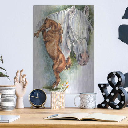 Luxe Metal Art 'Andalusian - Spanish Mustang' by Barbara Keith, Metal Wall Art,12x16