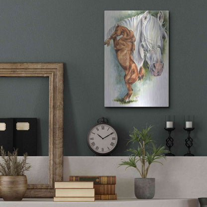 Luxe Metal Art 'Andalusian - Spanish Mustang' by Barbara Keith, Metal Wall Art,12x16