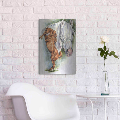 Luxe Metal Art 'Andalusian - Spanish Mustang' by Barbara Keith, Metal Wall Art,16x24