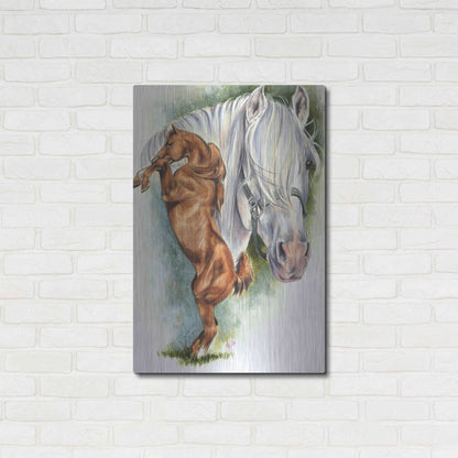 Luxe Metal Art 'Andalusian - Spanish Mustang' by Barbara Keith, Metal Wall Art,24x36