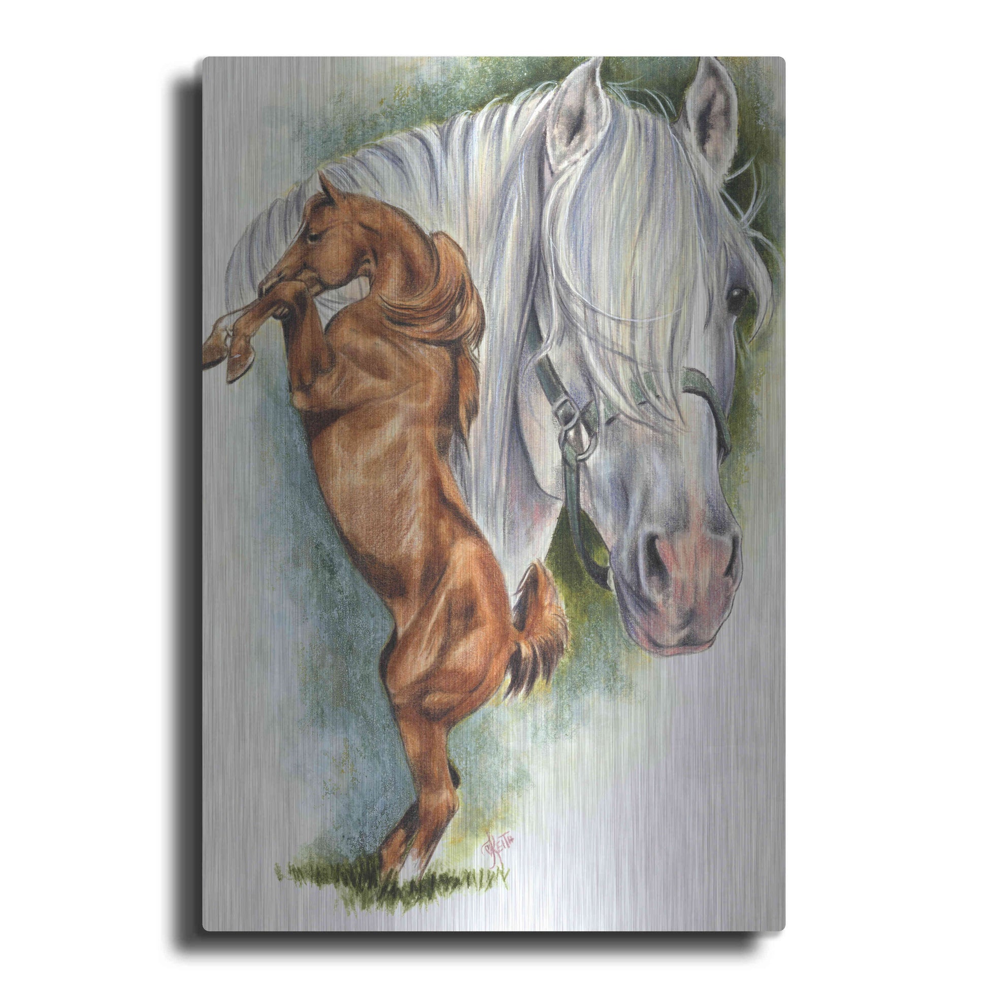 Luxe Metal Art 'Andalusian - Spanish Mustang' by Barbara Keith, Metal Wall Art
