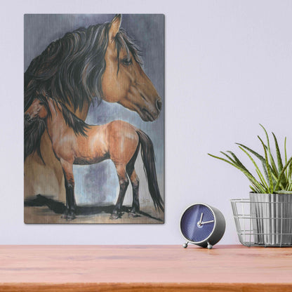 Luxe Metal Art 'Kiger Mustang' by Barbara Keith, Metal Wall Art,12x16