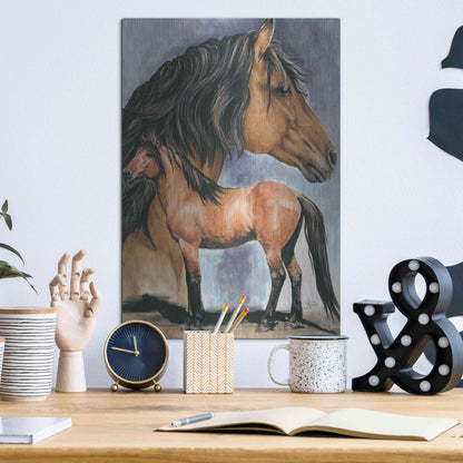 Luxe Metal Art 'Kiger Mustang' by Barbara Keith, Metal Wall Art,12x16