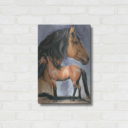Luxe Metal Art 'Kiger Mustang' by Barbara Keith, Metal Wall Art,16x24