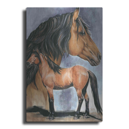 Luxe Metal Art 'Kiger Mustang' by Barbara Keith, Metal Wall Art