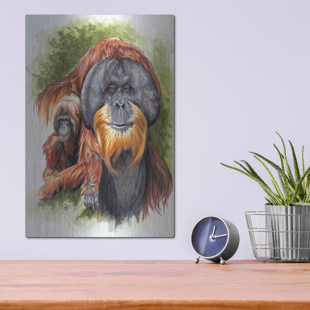 Luxe Metal Art 'Orangutan Soul' by Barbara Keith, Metal Wall Art,12x16