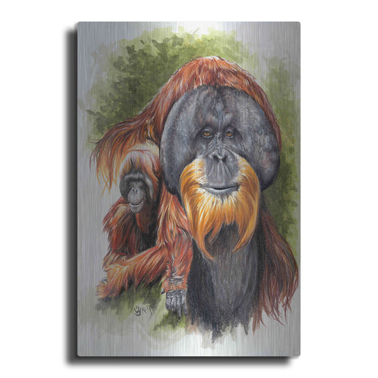 Luxe Metal Art 'Orangutan Soul' by Barbara Keith, Metal Wall Art