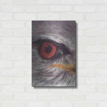 Luxe Metal Art 'Eye Catching Kite' by Barbara Keith, Metal Wall Art,16x24